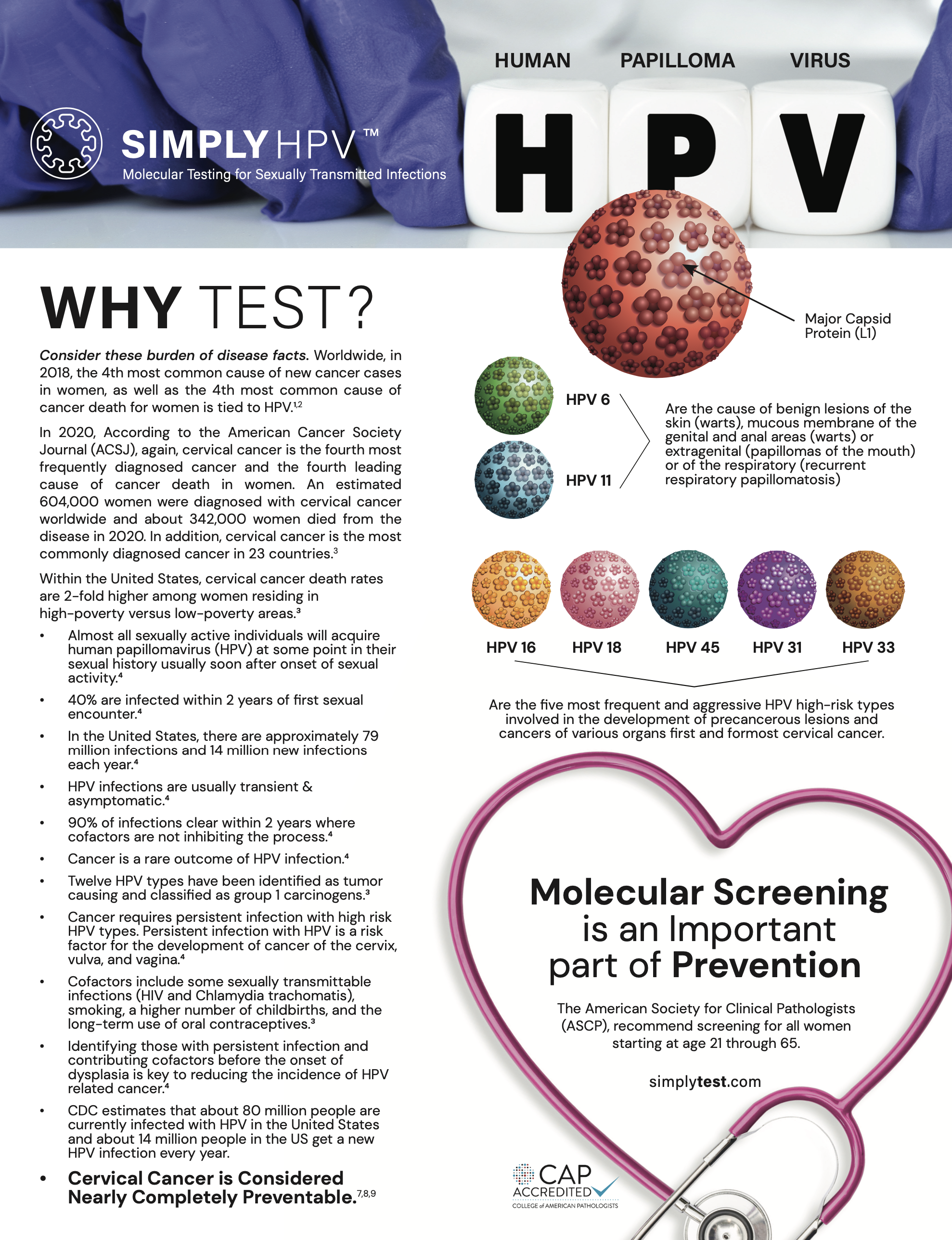 The Importance of HPV Screening-Provider Fact Sheet-SimplyTest